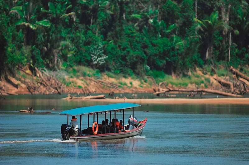 Peru Jungle Trips