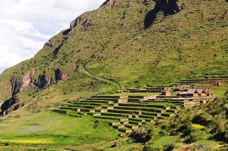Peru Jungle Trips