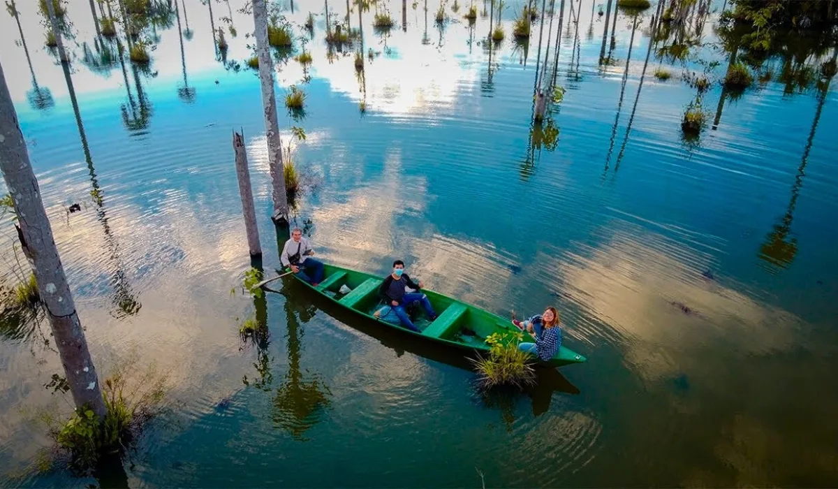 Tourists exploring Lake Yacumama in the Amazon jungle of Tambopata
