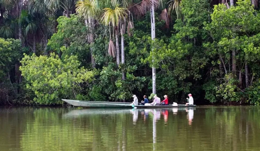 Circuit Tambopata Collpa des Aras 3 Jours